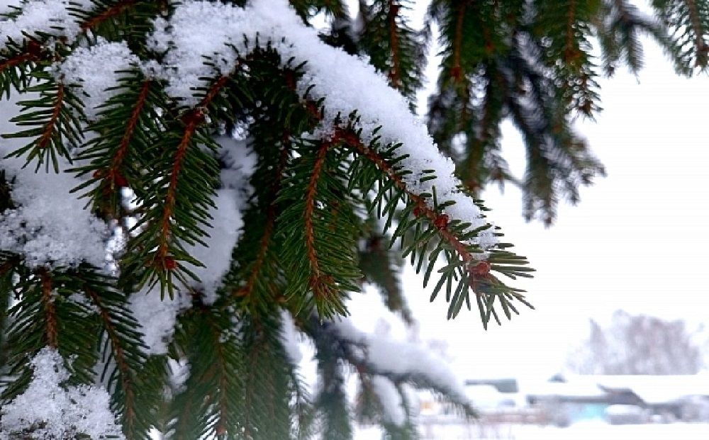 Снег, метели, туман: синоптики о погоде на западе Казахстана 7 января